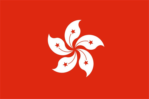 香港项目招聘简章